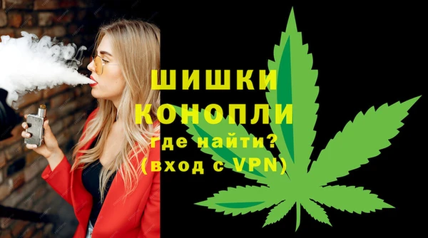 соль ск Кукмор