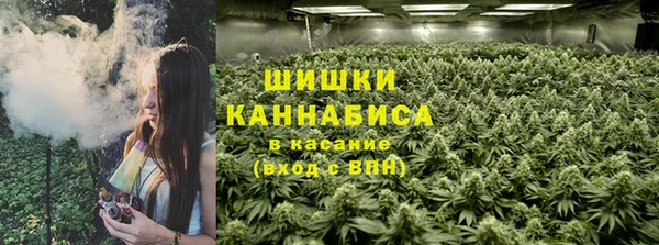 амф Кулебаки