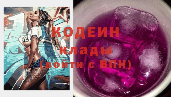 соль ск Кукмор