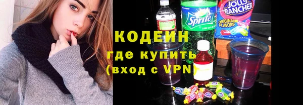 соль ск Кукмор