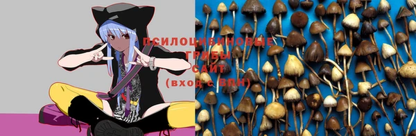 шишки Богородск