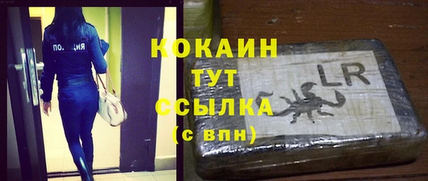 амф Кулебаки